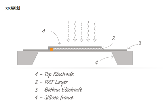 热释电红外探测器